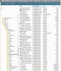 TOMTOM Backup folder.jpg