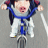 JohnRinKansas